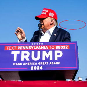 普利策、黄色新闻和他改变新闻史的遗嘱 | 10月29日