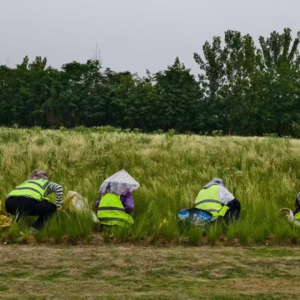 041-有限与无限的游戏｜有人忙着“赶集”🔛有人忙着读完“一页书”