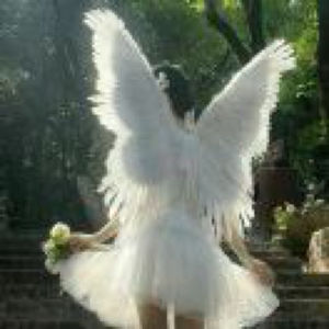 现代主义设计运动风格特征