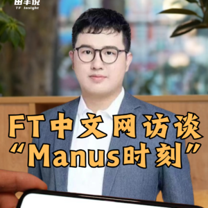 FT中文网访谈 “Manus时刻”