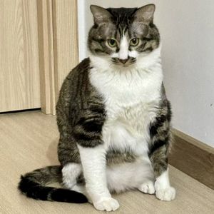 podcaster-avatar