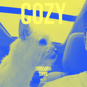 vol.127：给你，散漫的秋