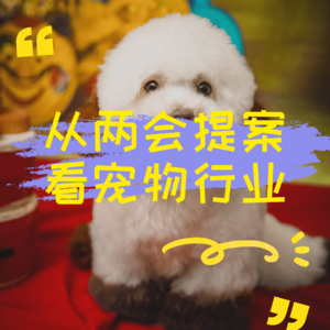 从两会提案看宠物行业