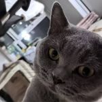 Mia_Mao