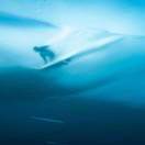 杨枝甘露寺_Zil5