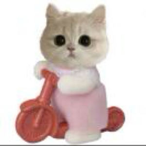 《平凡的世界》