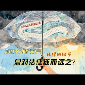 阅读体悟——法治的温度与普通人的权利觉醒,《法治的细节》读后感