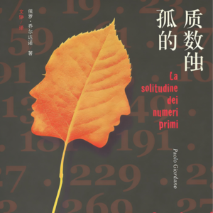 《质数的孤独》--爱与孤独的质数困境,两个灵魂的无限趋近