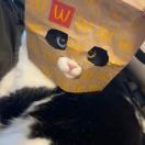 州玉