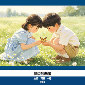 13. 窗边的恶魔｜重庆姐弟坠亡案
