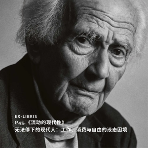 P43.《流动的现代性》：无法停下的现代人——工作、消费与自由的液态困境