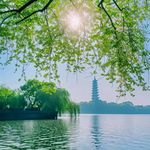 暖阳8856
