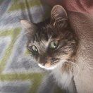 就不好好起名字