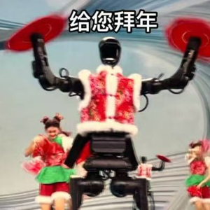 Vol. 25 | 吃着饺子评一评,蛇年春晚行不行?