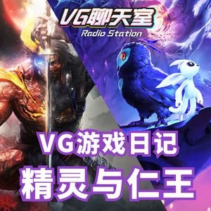 VG游戏日记：精灵与仁王【VG聊天室312】