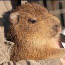 吃吃吃吃吃火锅的