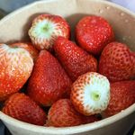 小隐的心灵深处