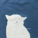 十二分黄柏煎汤