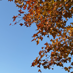 2. 据说要发些正能量的东西