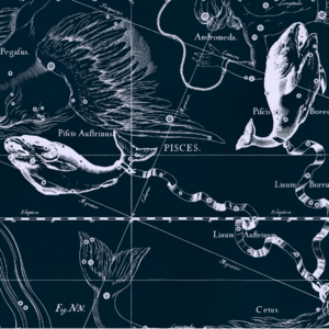 占星读书会 004|上升双鱼♓