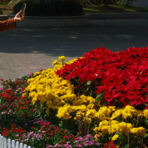 064. | 回汕过年日记：我与家人、朋友、这座城市