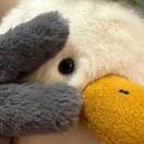 记得和水鸟合照