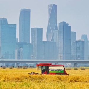 Vol.121 传说中的38号文是个啥