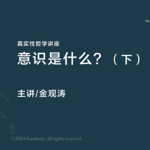 金观涛：意识是什么？（下）｜ 真实性哲学系列讲座