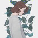 云四朵