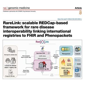 1390-RareLink: for Rare Disease Data Interoperability