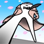 Ahan_阿憨