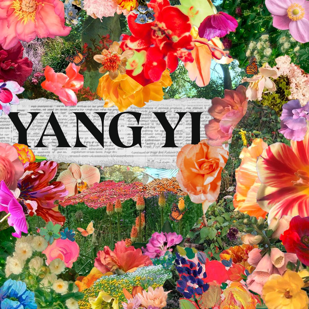 你有一张邀请函 | 杨一的花园，请你来玩