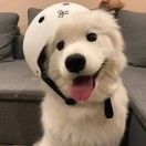 超大只灌汤包啊