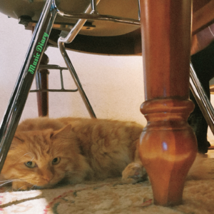 #21-Acoustic Covers 不需要理由的微笑