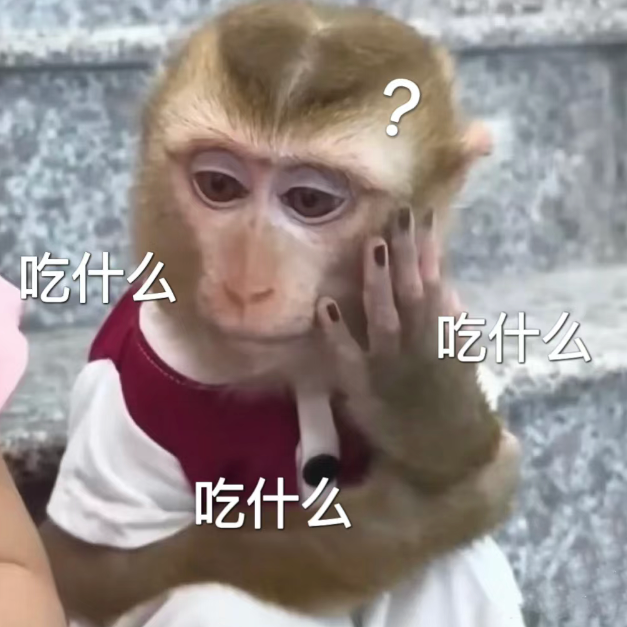 ep28. 拿过菜单一个字儿不认识，比划半天狂点五首歌！ episode artwork