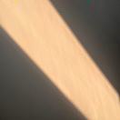 不看群消息的Icy