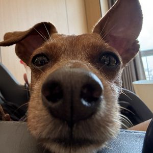 podcaster-avatar