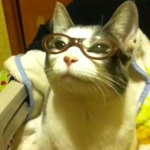 podcaster-avatar