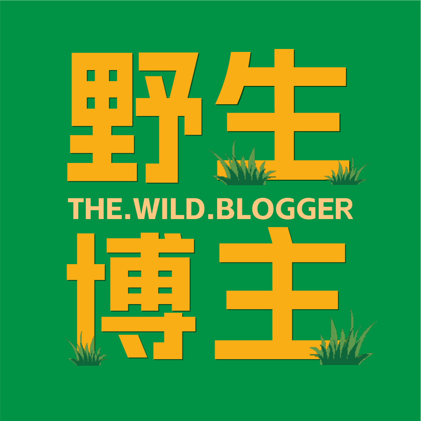 40w粉博主自用设备大公开！帮你少花冤枉钱！发誓绝对无广！双11必听！