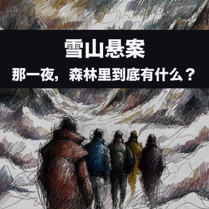 雪山悬案:那一夜,森林里到底有什么?Vol.39【故事合订本-迷案】