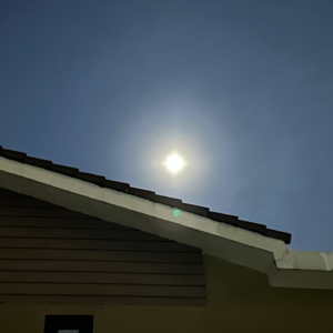 #10. 碎碎念｜暂停自我消耗，从面对恐惧开始