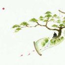 风已无风