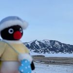 是甲乙丙丁的丁