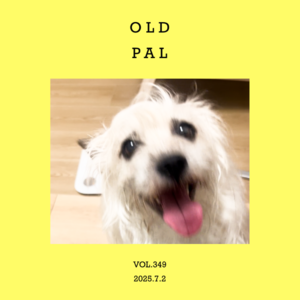 vol.349：还是熟人最靠谱！