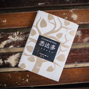 《悉达多》：婆罗门少年的生命智慧