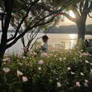 芒_5ujm