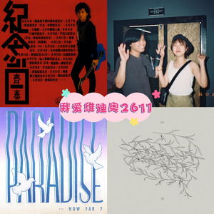 我爱维迪奥2611（以为和现实之间隔着一个海）