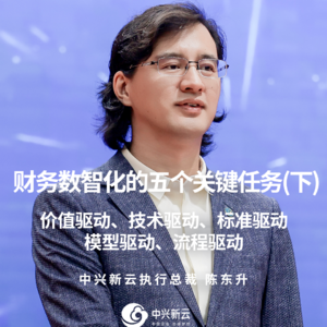 陈东升：财务数智化的五大关键任务（下）