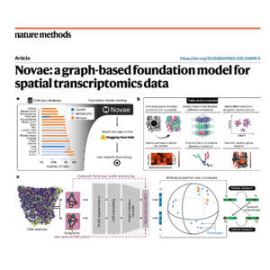 376-Novae: A Foundation Model for Spatial Data