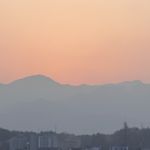 野生晒太阳运动员
